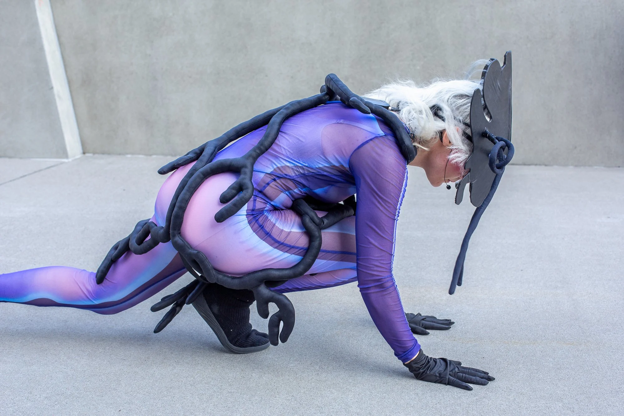 Shared Grounds - Preview -56.jpg