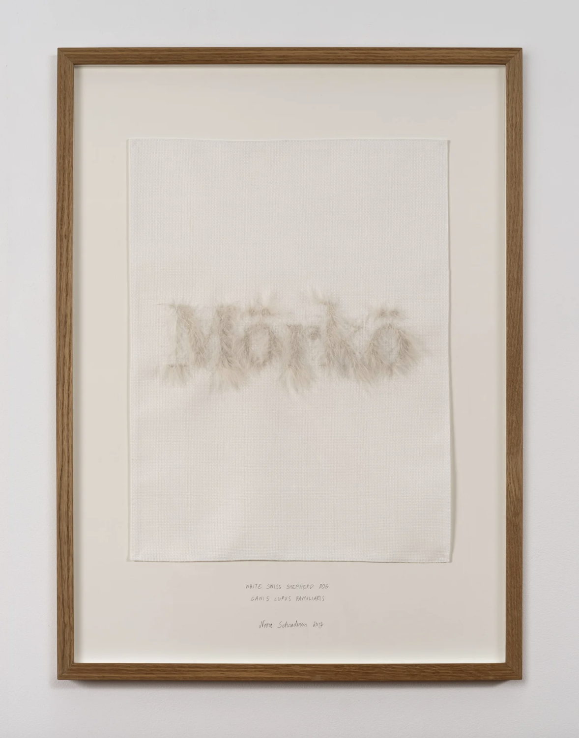 NADA Galleries Curate Finnish Artists for New York Audiences