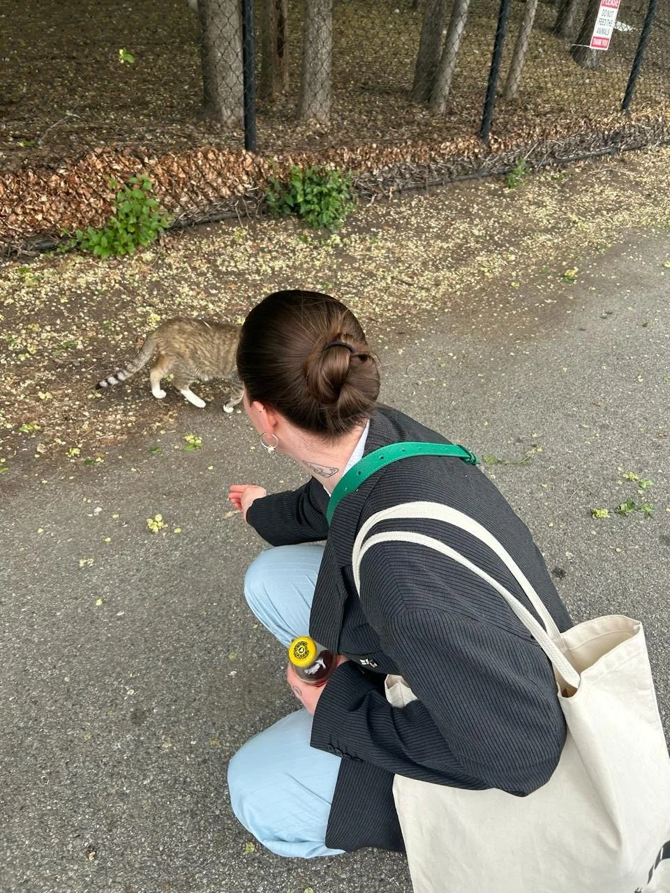Mimosa Tast Reflects on Her Internship at FCINY 
