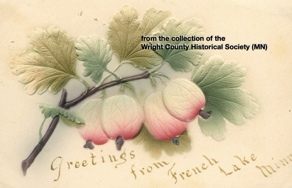 Postcard Gallery — WCHS