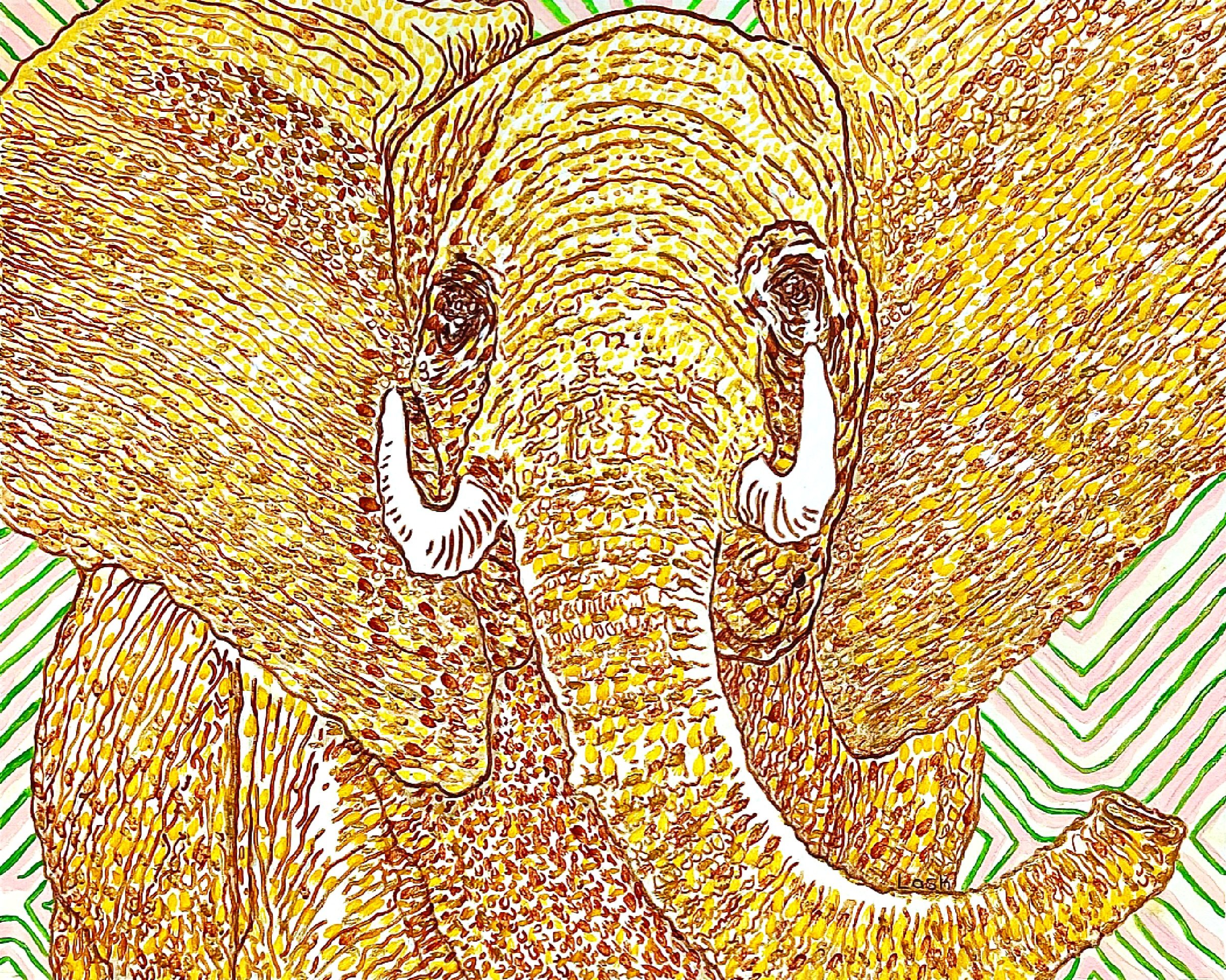 Congo Elephant