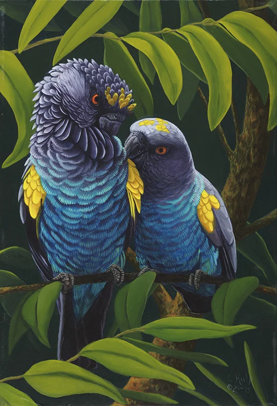 Cindy Kulp has spent the last twenty-five years raising, studying and painting birds. She reveals the inner workings and what she calls the “narrative” of her subjects, as well as capturing their surface beauty.