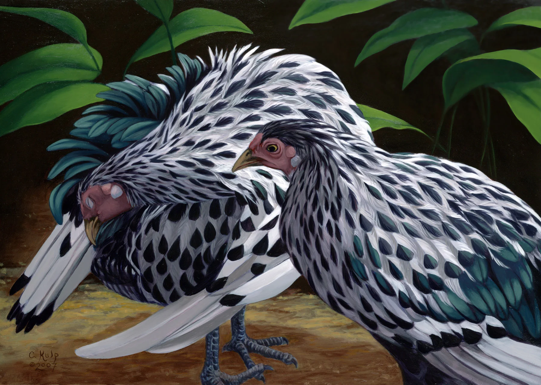 Cindy Kulp has spent the last twenty-five years raising, studying and painting birds. She reveals the inner workings and what she calls the “narrative” of her subjects, as well as capturing their surface beauty.