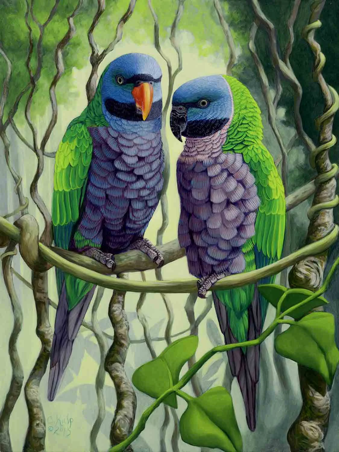 Cindy Kulp, Derbyan Parrots , 18" x 15", oil on board