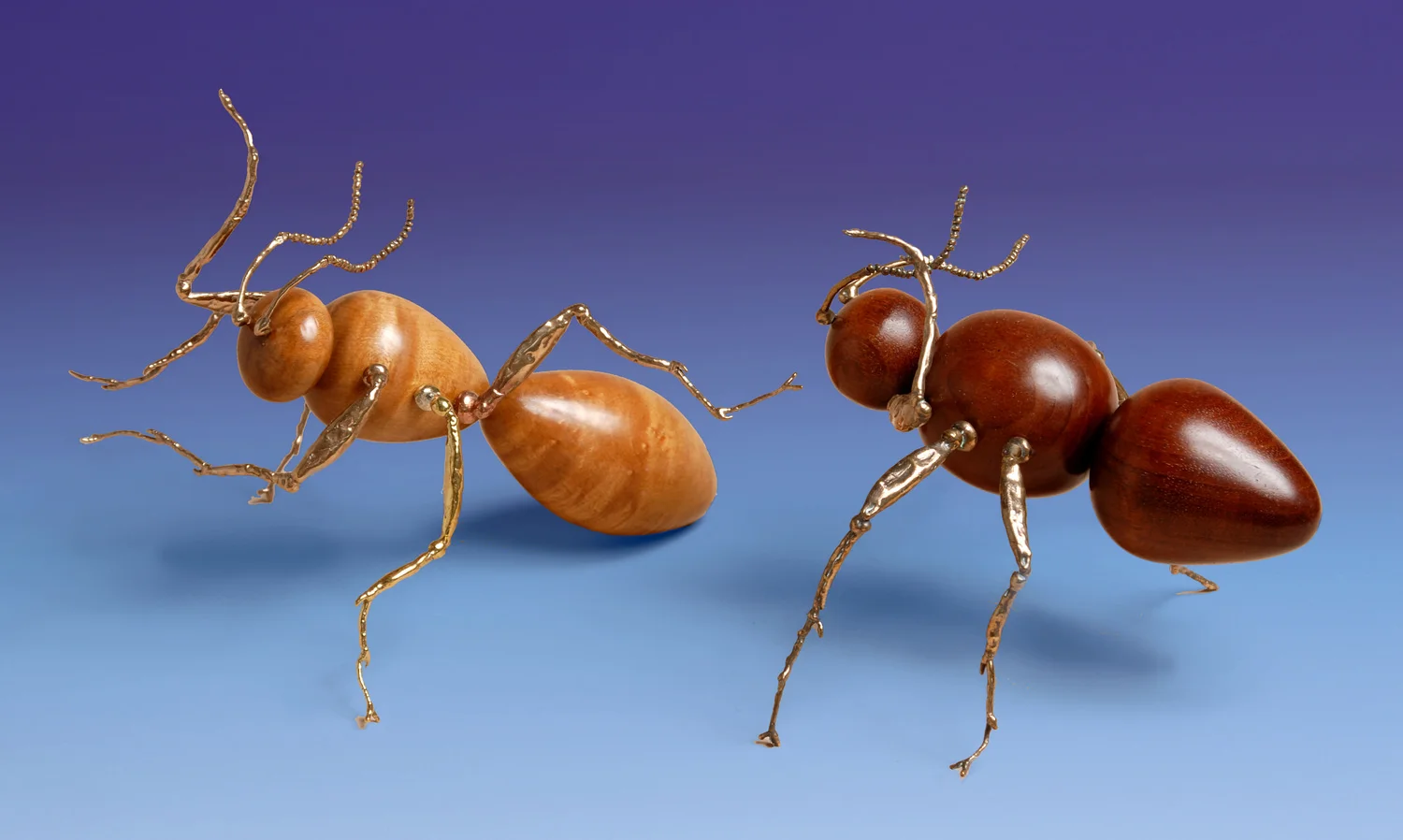 Ant+Bee.jpg