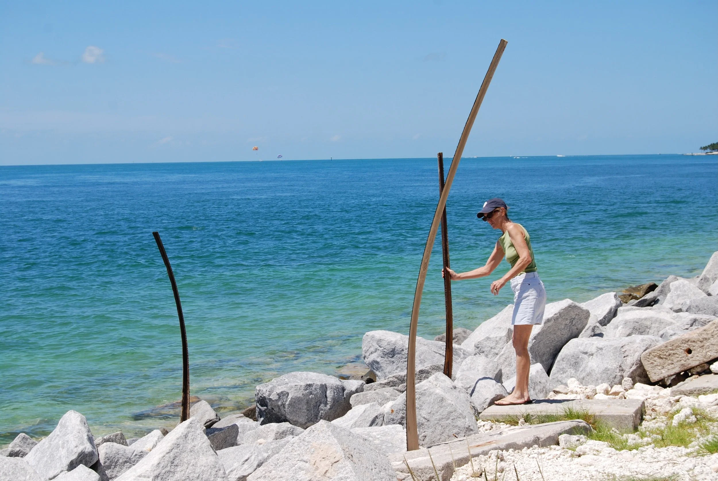 My unproposed proposal for Sculpture Key West at Fort Zach. These &ldquo;Black Teeth&rdquo; palms went from a secret garden to  shoreline to being redefined in the studio. Visit the gallery to see them in their entirety. 
.
.
.
#helenharrisonART #key