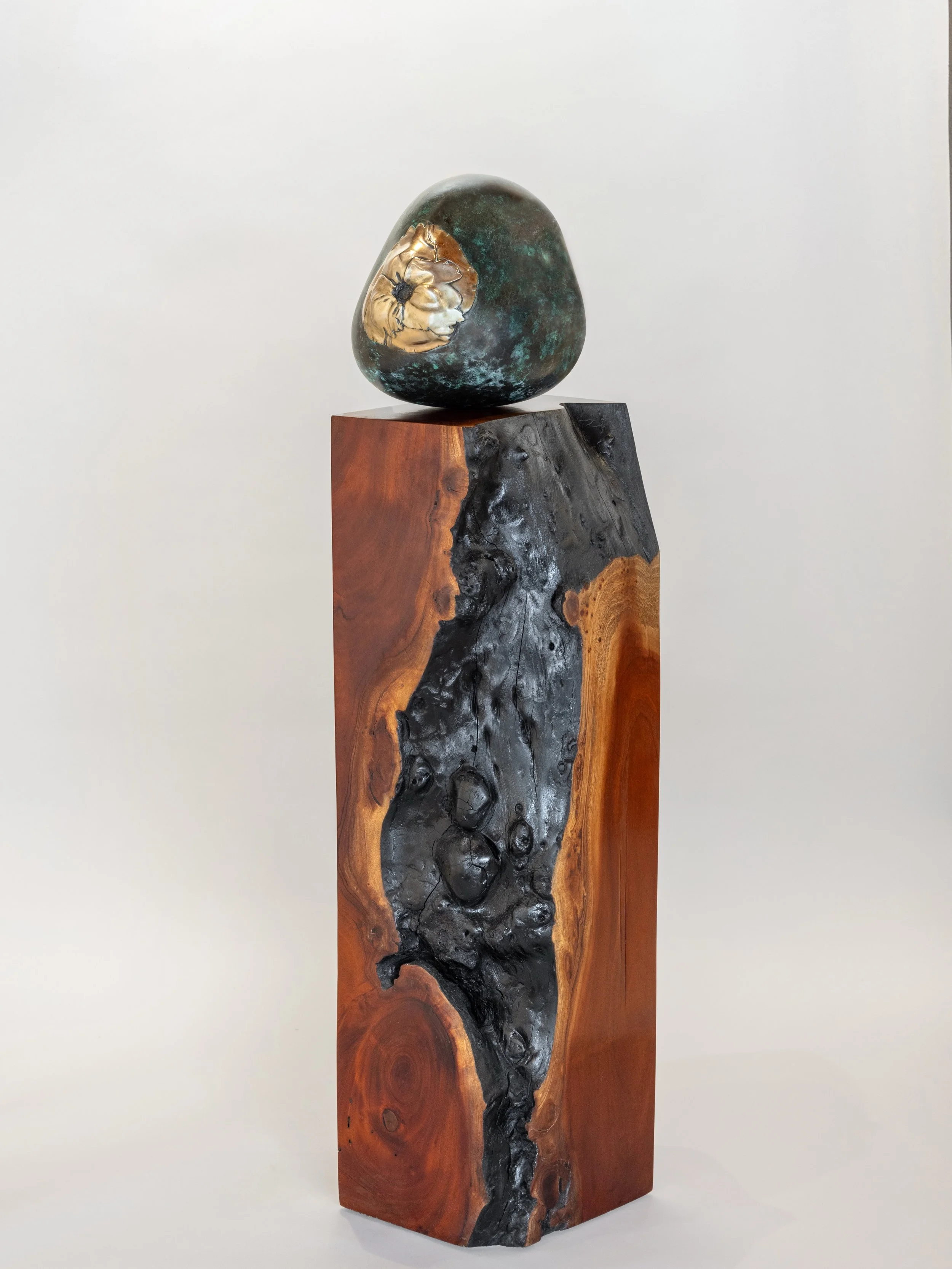 HH- Bronze Coconut on Mahogany pedestal 
.
.
.
📸 by Tamara Alvarez

#helenharrisonART #contemporaryart #keywestartist #bronzecoconut #mahogany