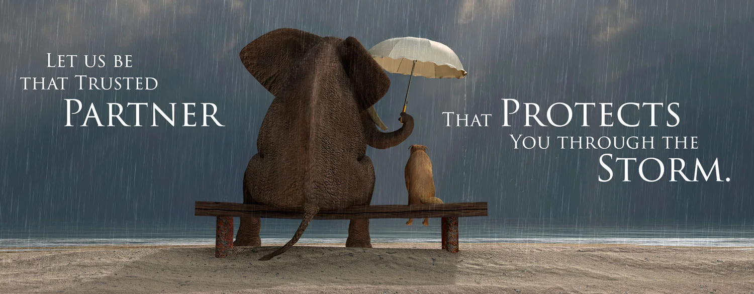 trusted-partner-jb-j.jpg
