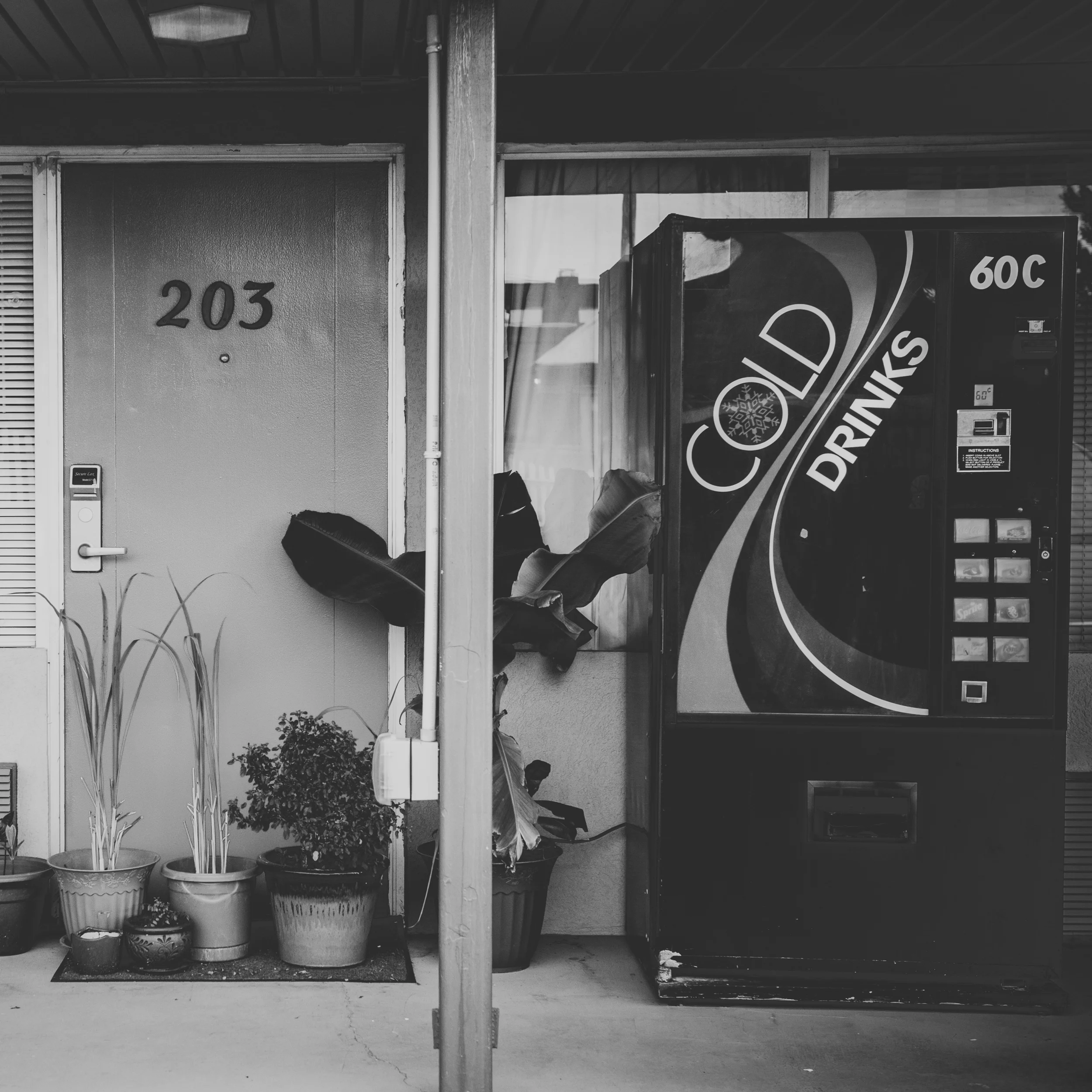 Scenes from the Galax Roadway Inn