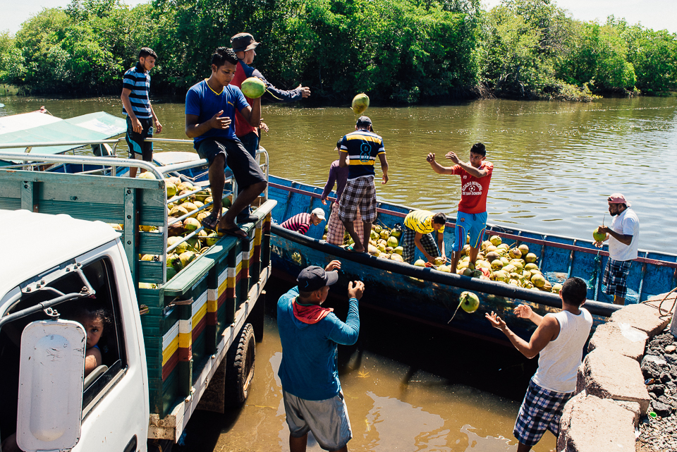 In Puerto Parada, workers unload coconuts from a boat into a truck for distribution. The coconuts are grown throughout a string of small islands, where they are picked by hand and placed in the boats. 