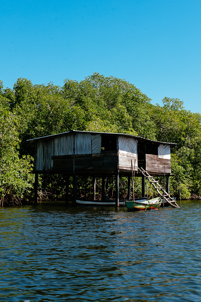 We boarded a boat and headed out into the Jiquilisco Bay, which includes a delta of mangrove forests. Small fisherman's homes like this one dot the coastline. 