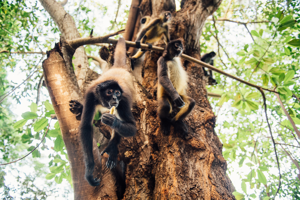 You know, just hanging out having a casual snack. 