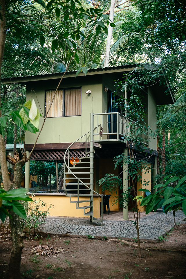 We stayed in these jungle casitas at Puerto Barillas, and it felt like a verdant, emerald-hued dream to wake up in the middle of all that lush greenery. 