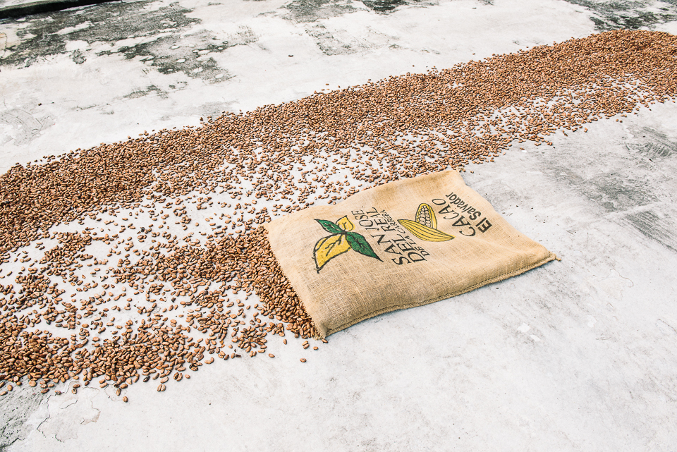 Cacao, processing and ready to be made into hot chocolate, chocolate bars, and lots of other delicious items. 
