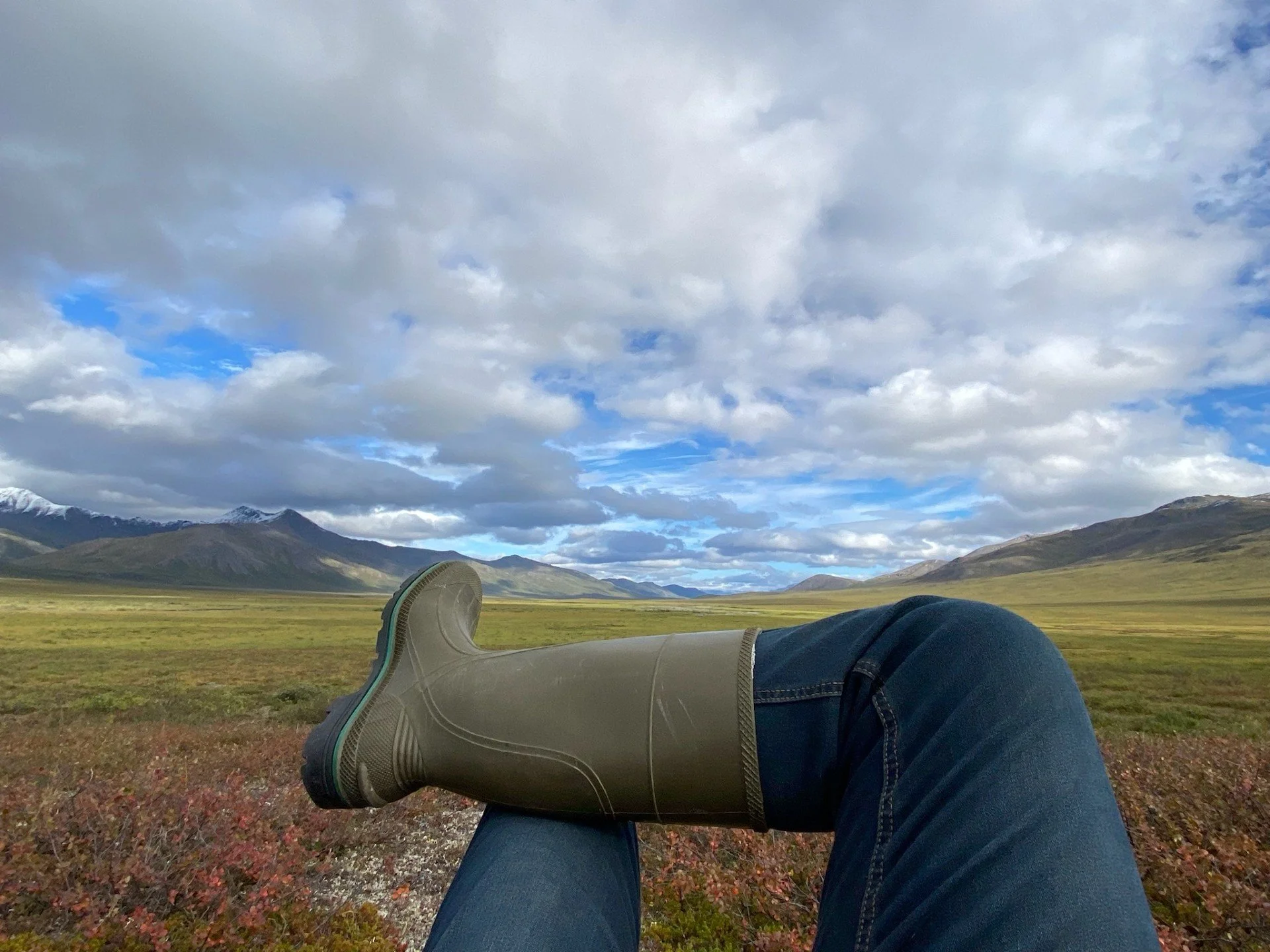 Chandalar Shelf - Colin Lawrence.jpg