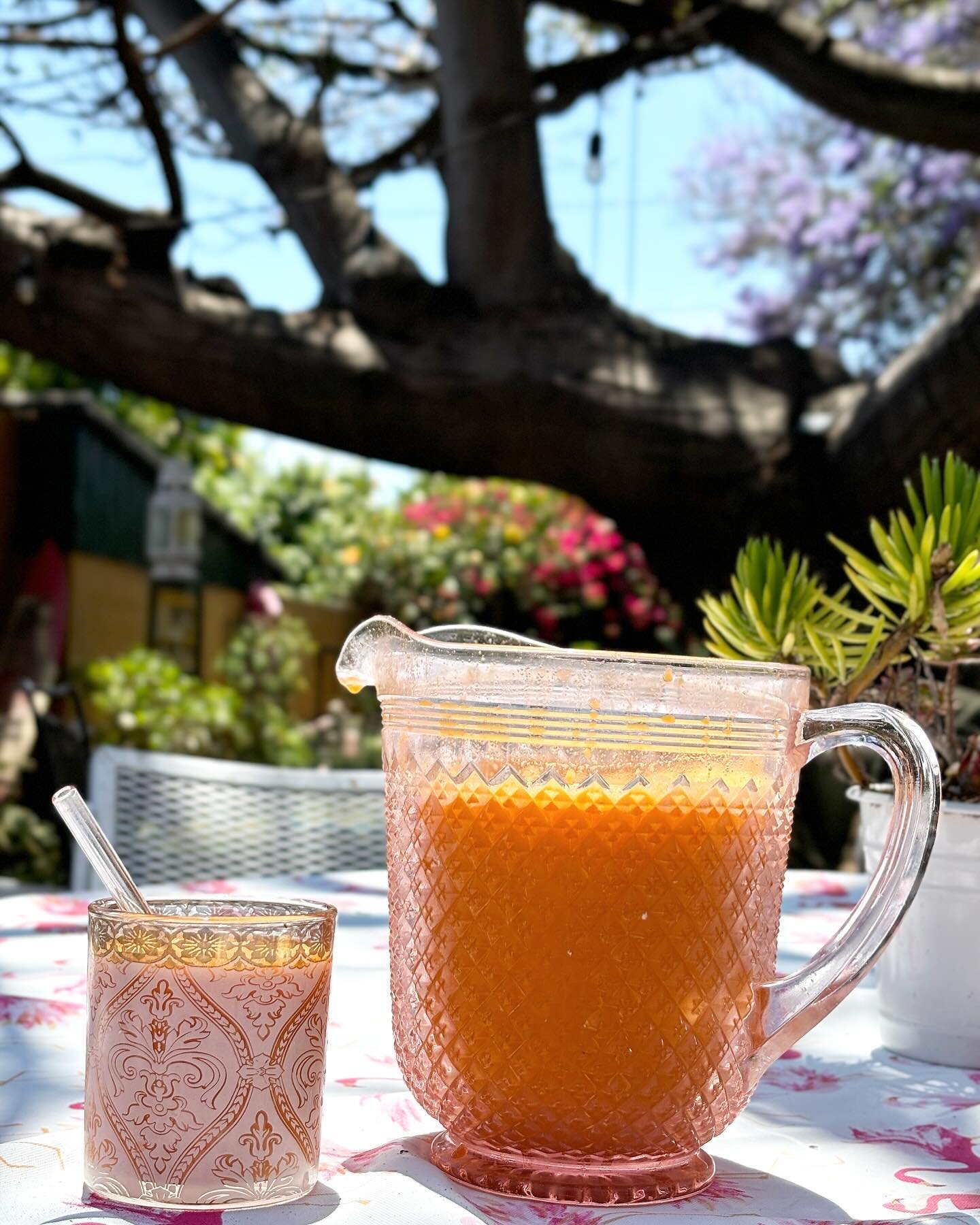Freshly juiced carrot, celery and ginger.... a solo 4th July with Covid🤍😷 No margaritas in the backyard today! Happy 4th everyone! 🎇