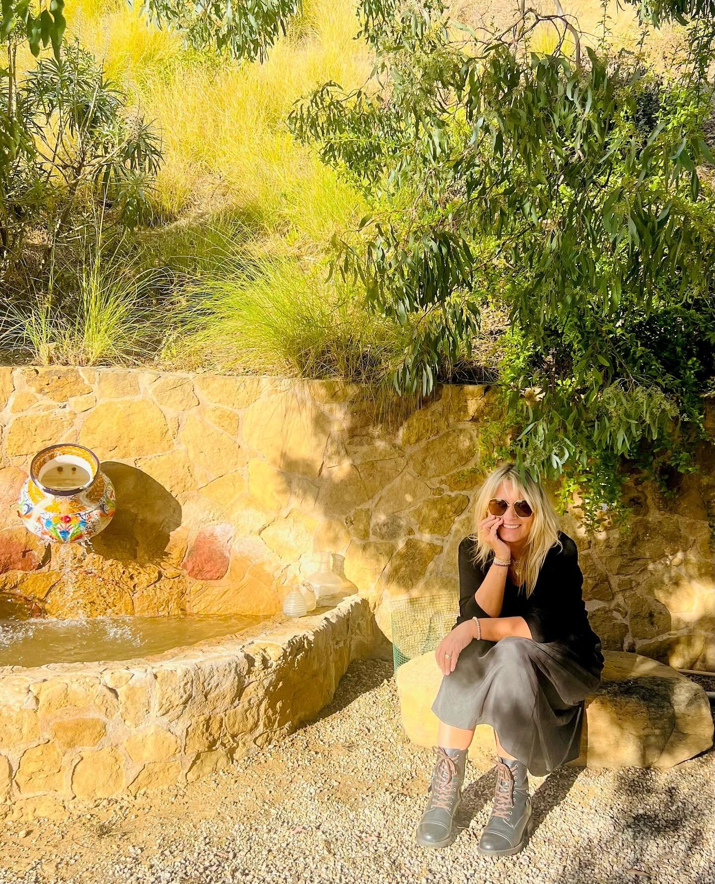 Bocce Ball Brunch in Malibu with old and dear friends🤍🌴a weekend to be thankful for the simple things... and 'little' Miss Piggy! (last clip!)