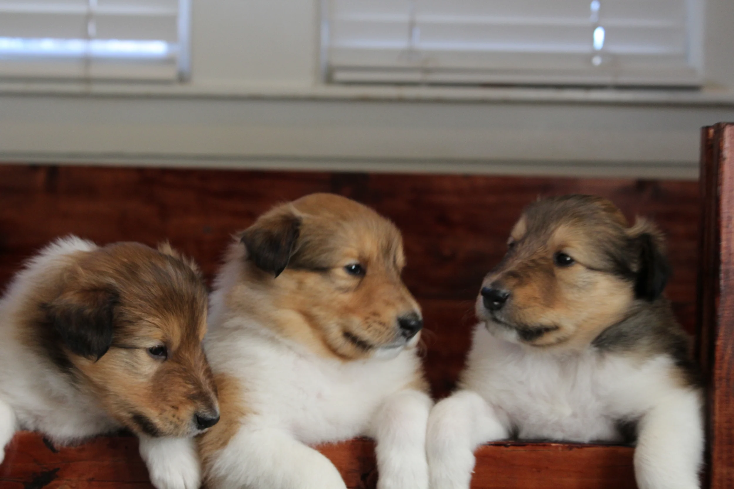 # One, #Two and #Three