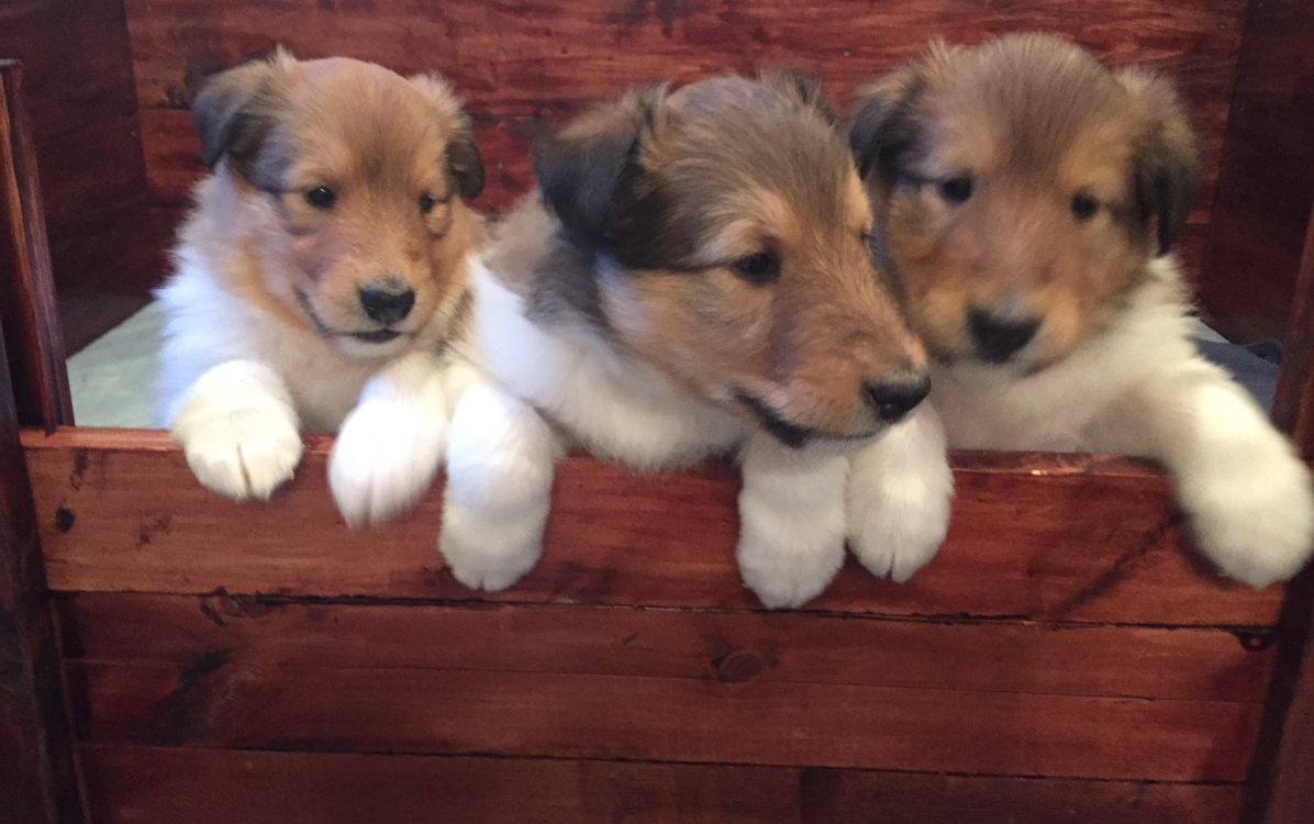 #Two, #Three and #One