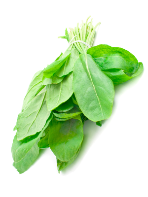 sorrel.png