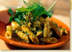 Penne Pasta with South American Cilantro Pesto
