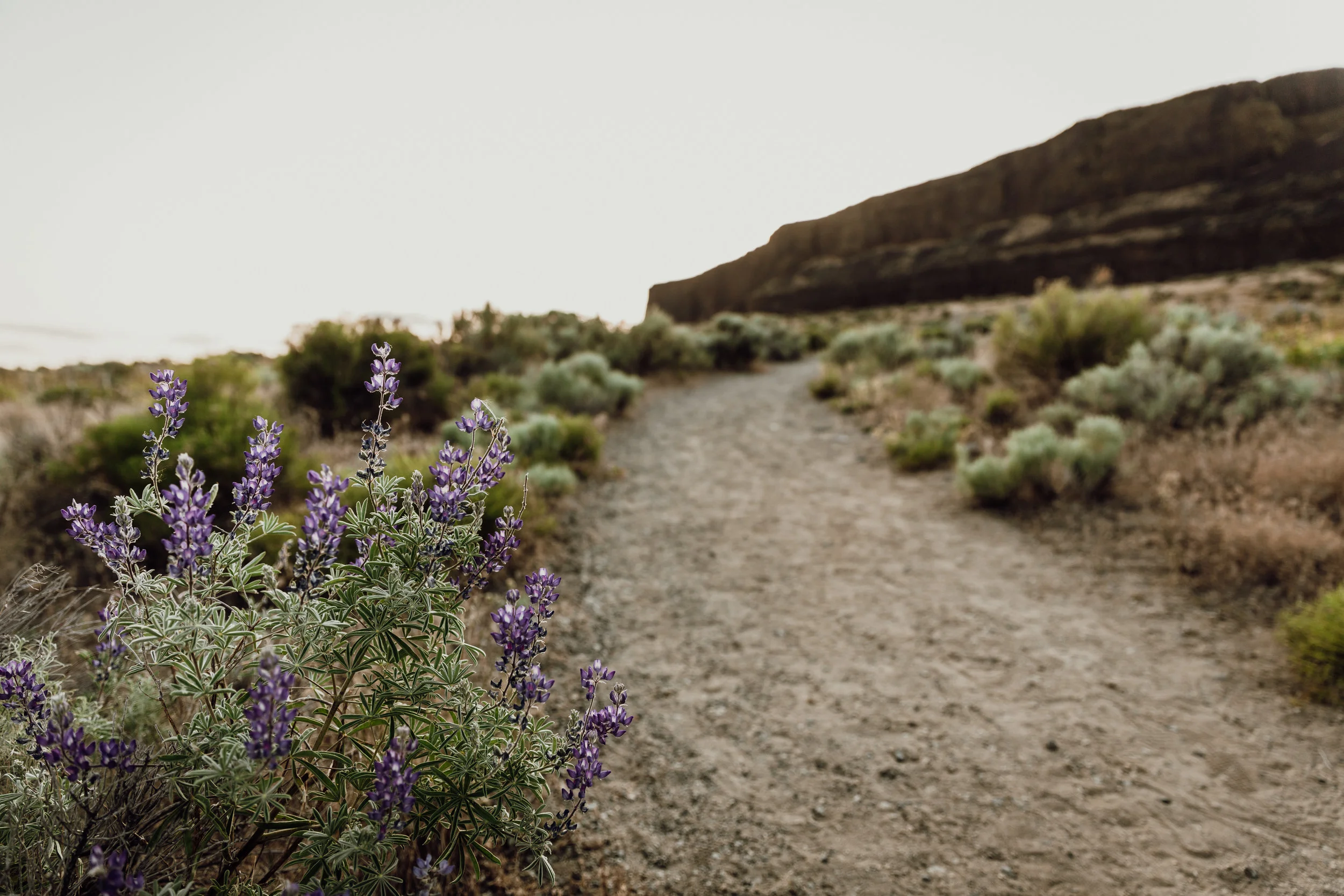 I love this picture. Jana took it this summer when we were camping with some good buddies in Steamboat Rock, Washington.