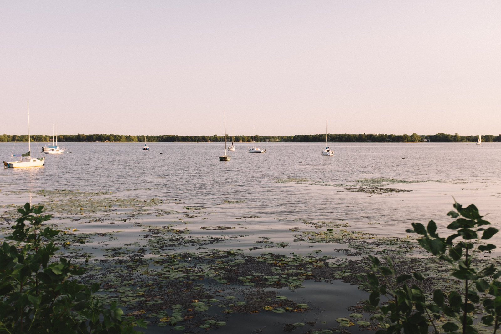 Fritz Farm, Baie-d'Urfe wedding.jpg