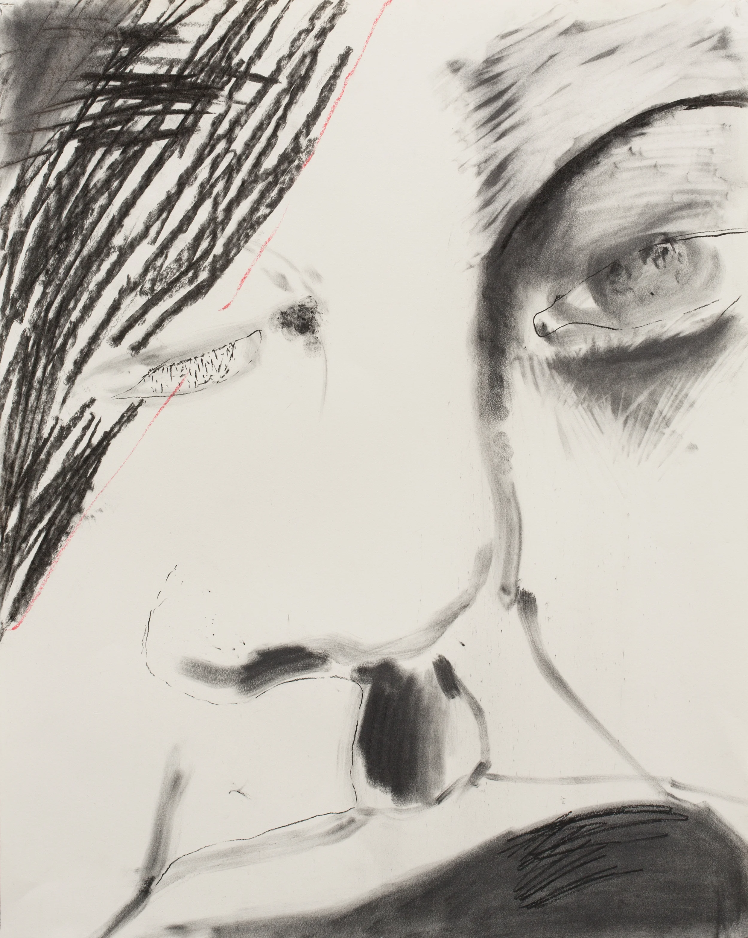 Expressive Heads of the 21st Century , 2016, charcoal and pastel on paper, detail 24" x 19"