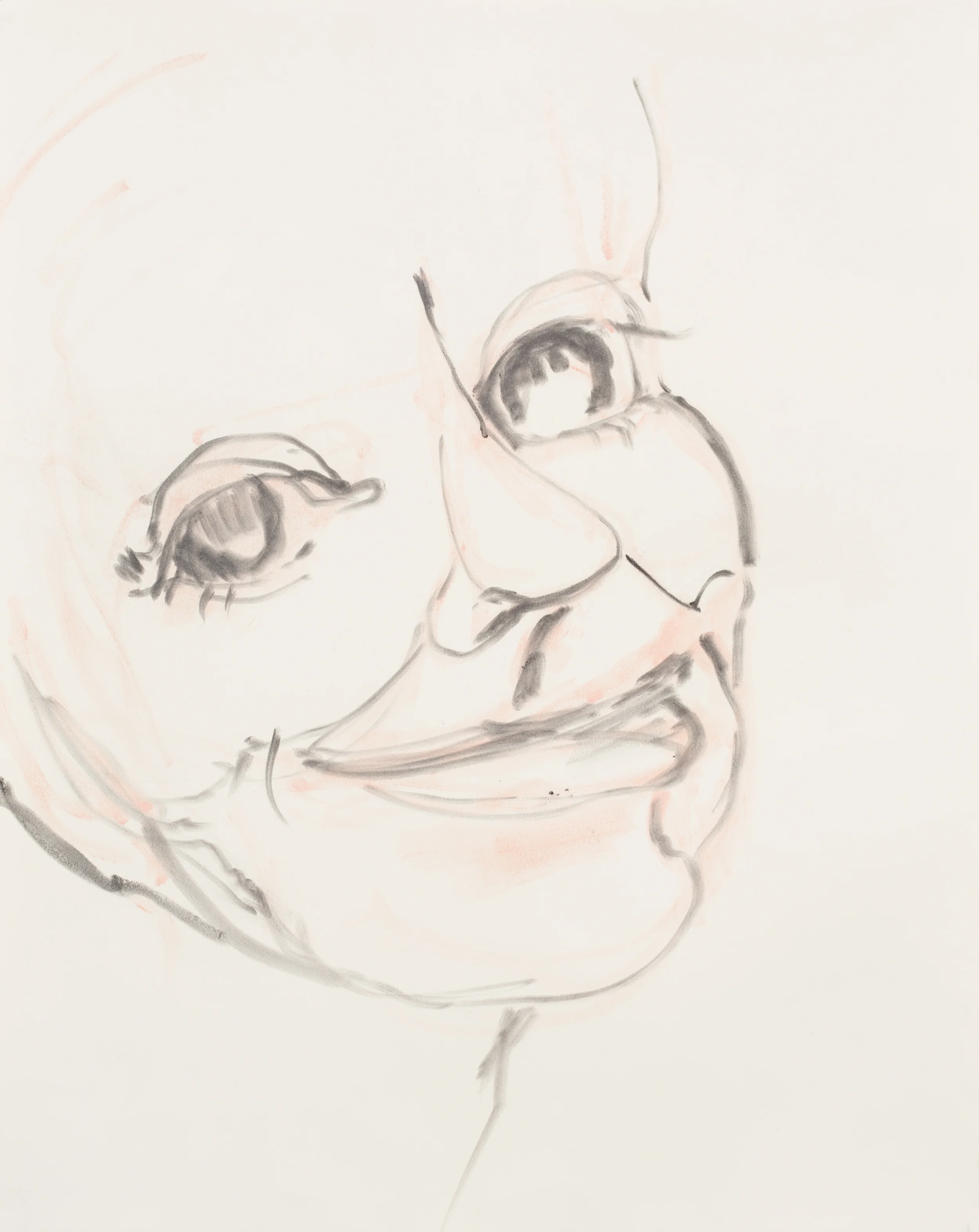 Expressive Heads of the 21st Century , 2016, charcoal and pastel on paper, detail 24" x 19"