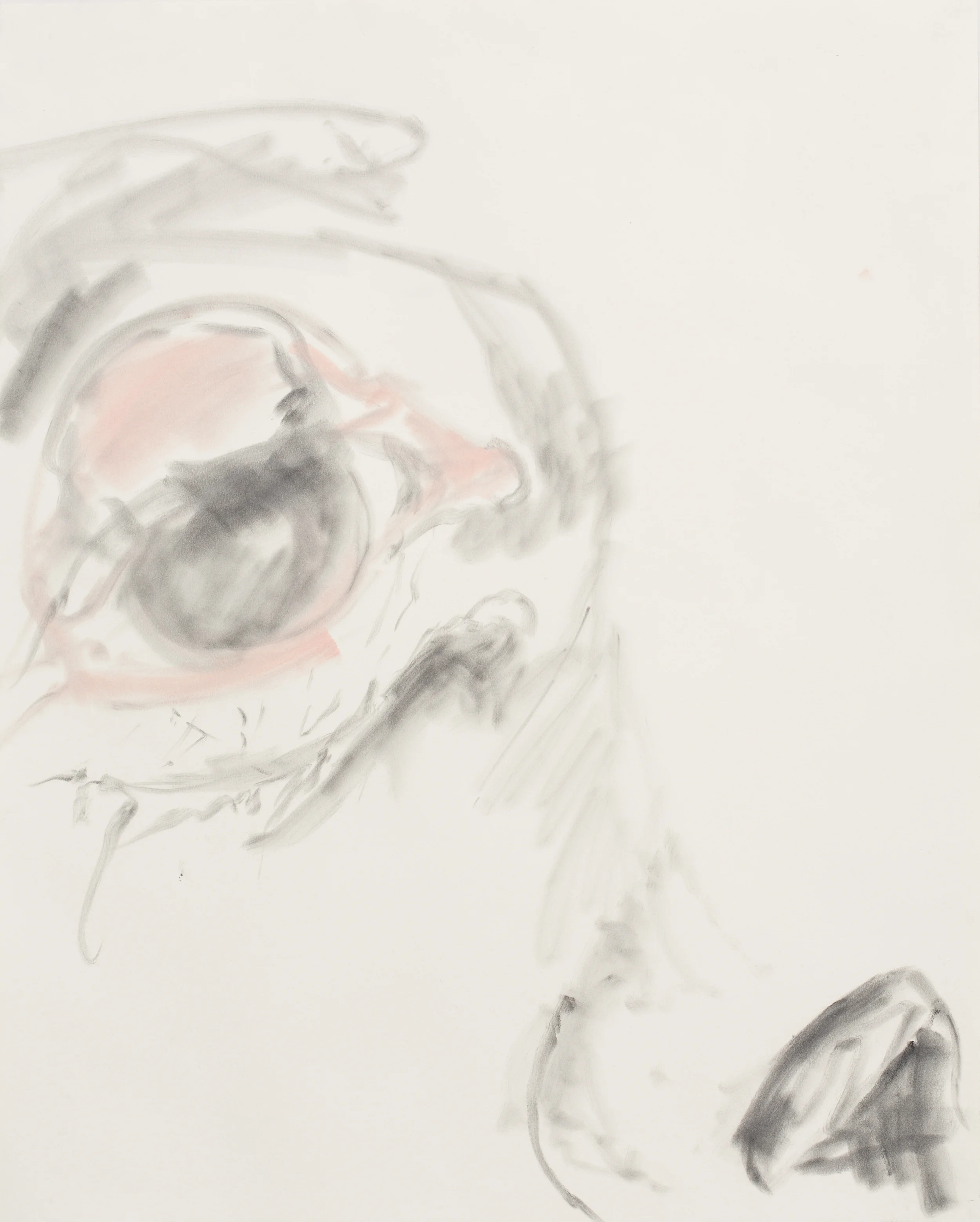 Expressive Heads of the 21st Century , 2016, charcoal and pastel, detail, 24" x 19"