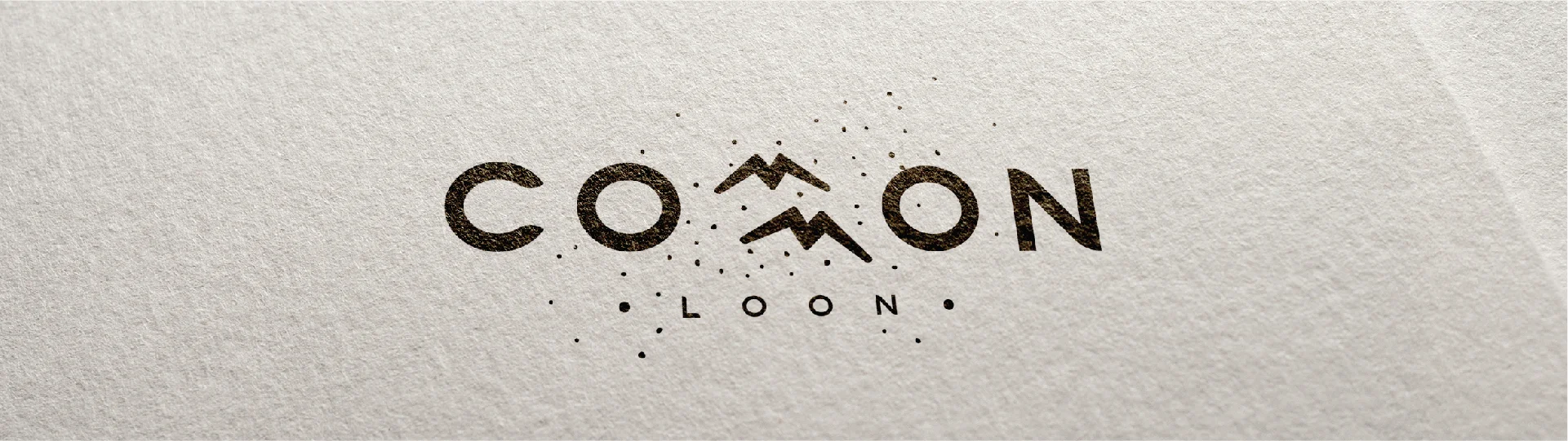 Minnesota Wordmarks • Common Loon