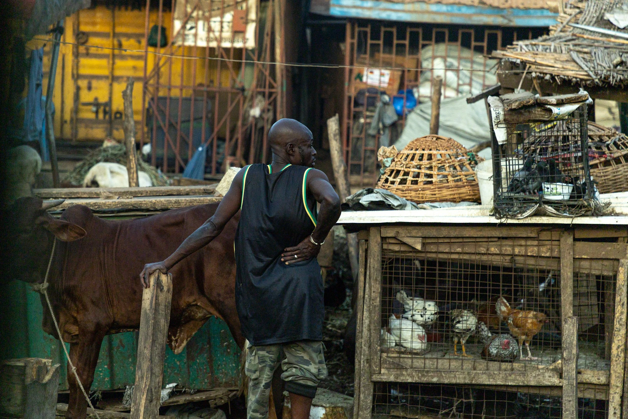 view from the bus window