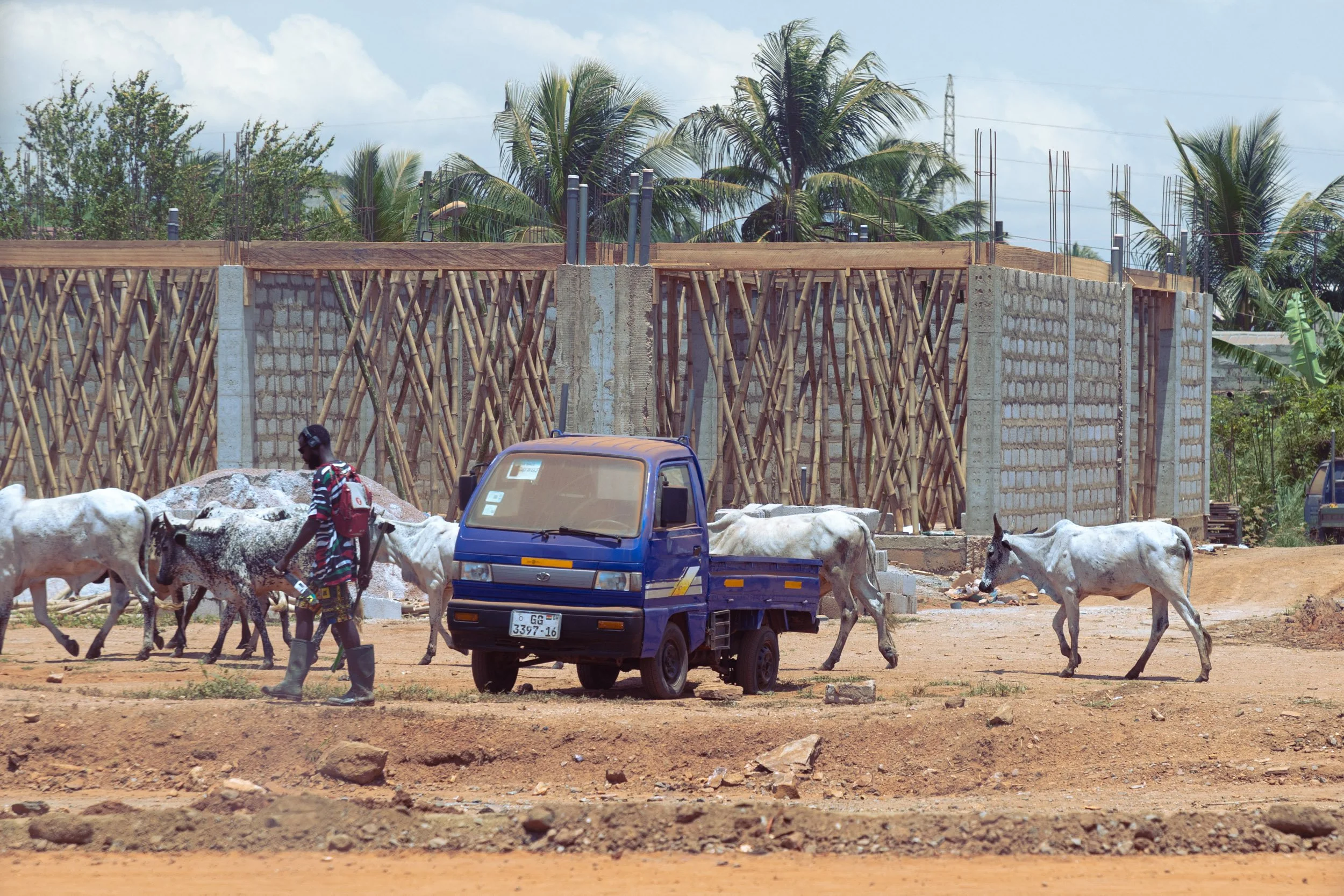 view from the window