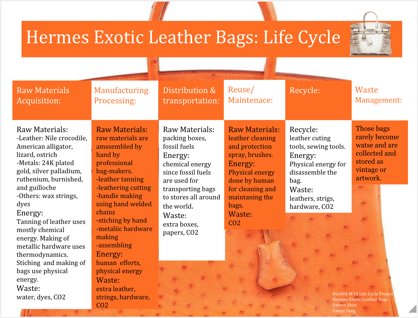 Hermès Exotic Skin Bags
