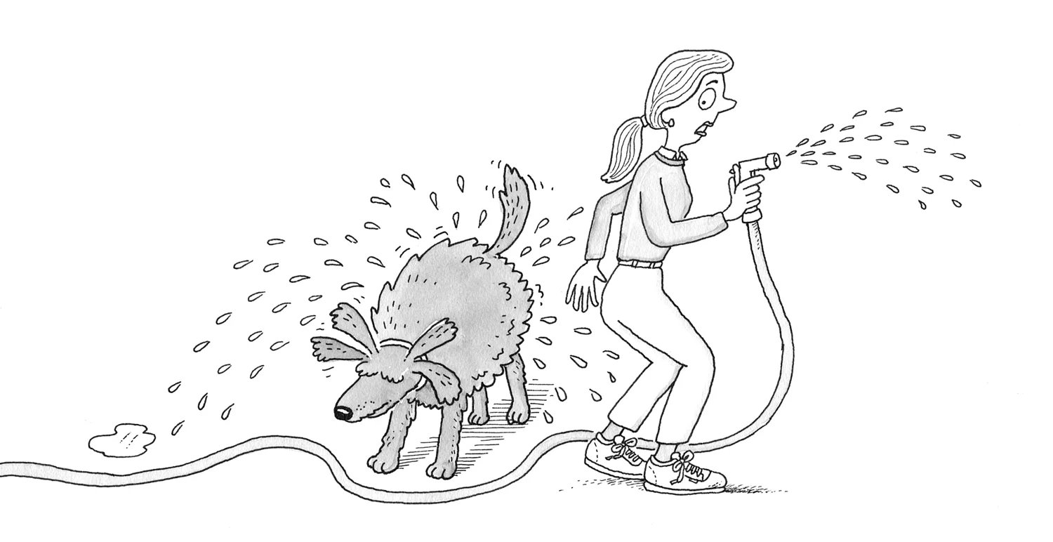 ROVERGENCE (row vur' jens)