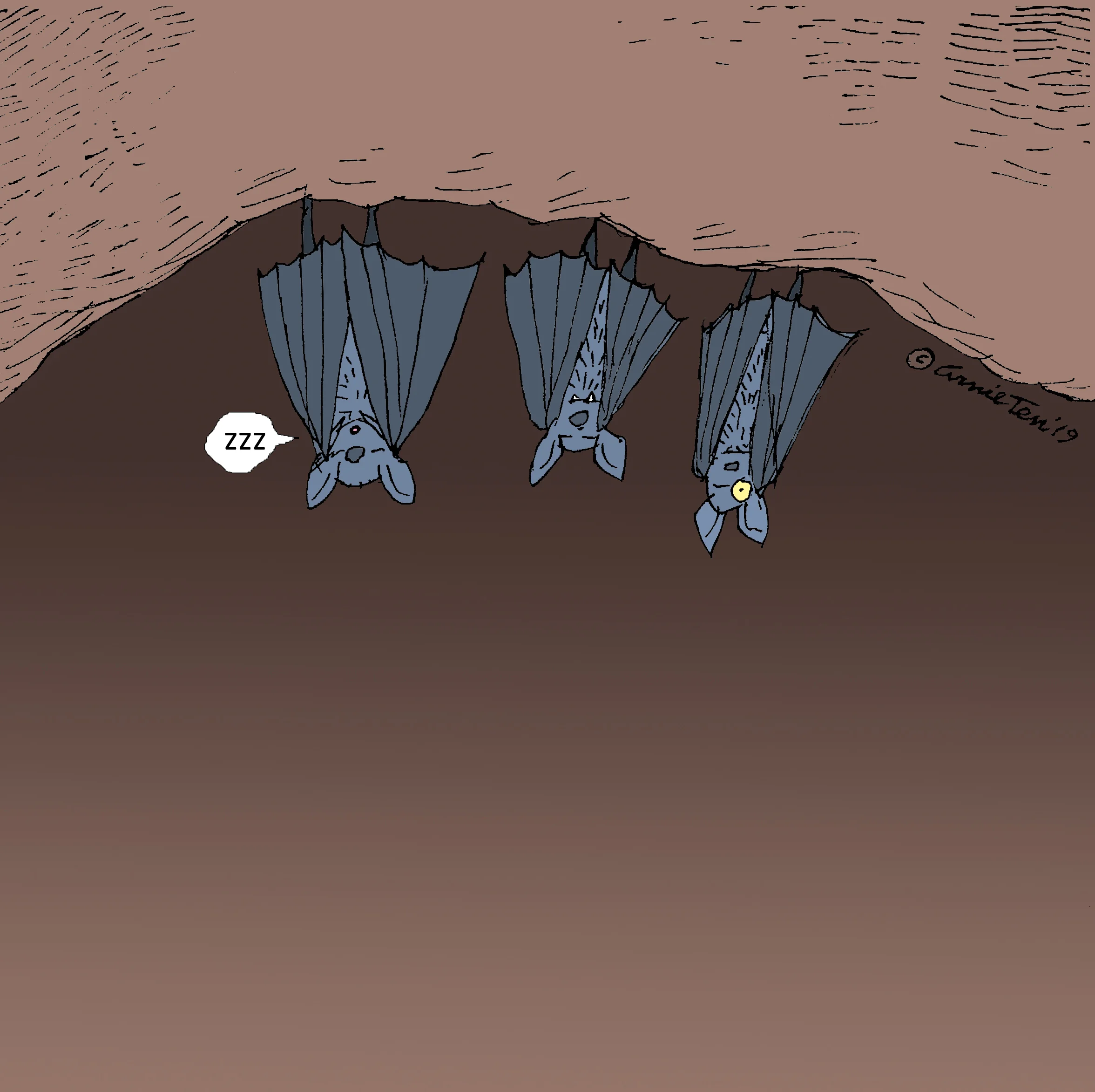 sleepingbats_colorzzz.jpg
