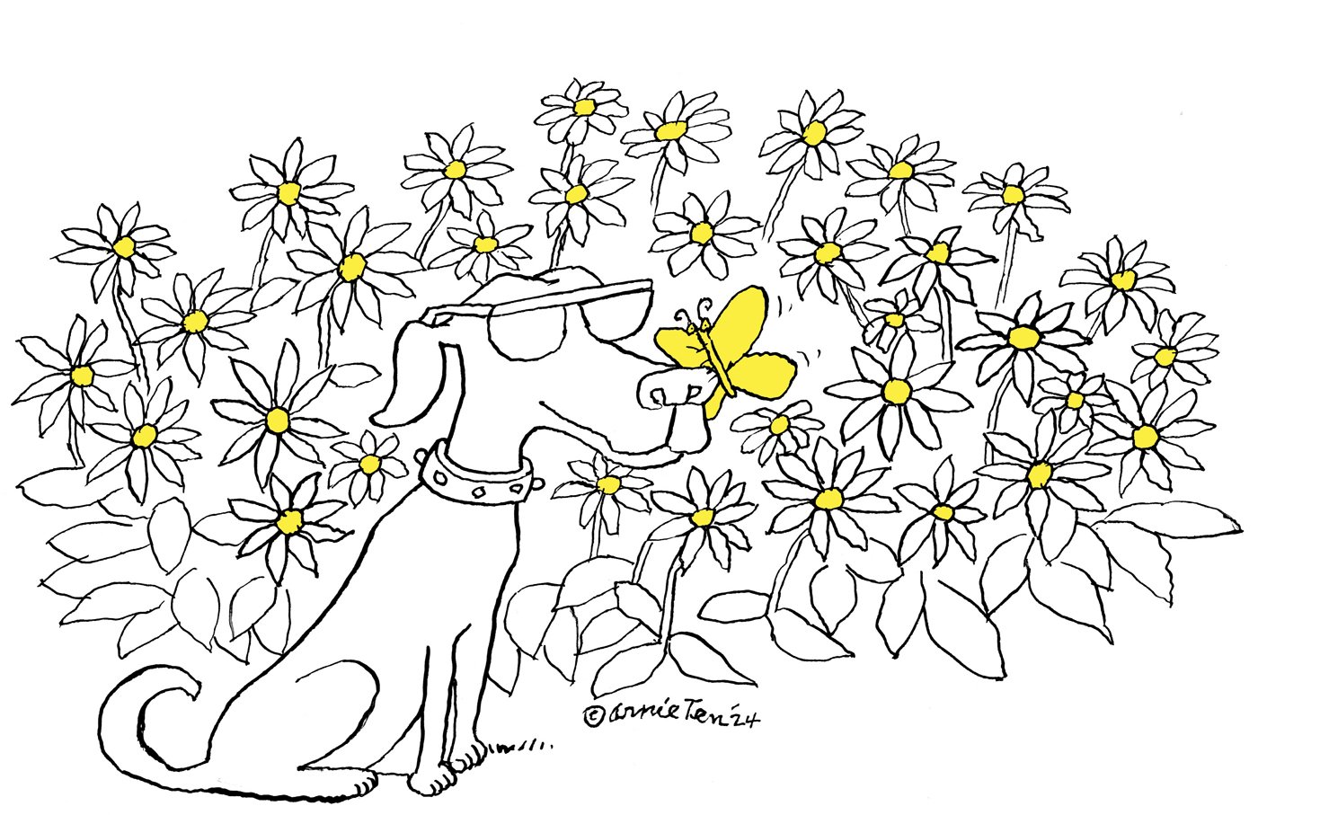 dog_CCAureolin_200color.jpg