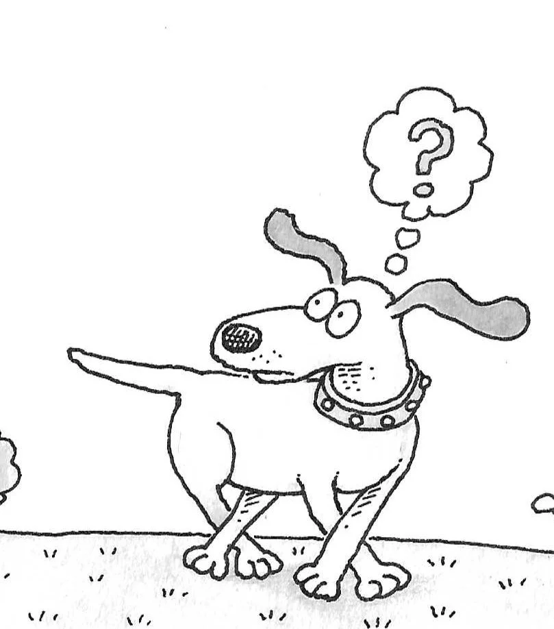 fetchplex_moresnigletsbook_detail_200bw.jpg