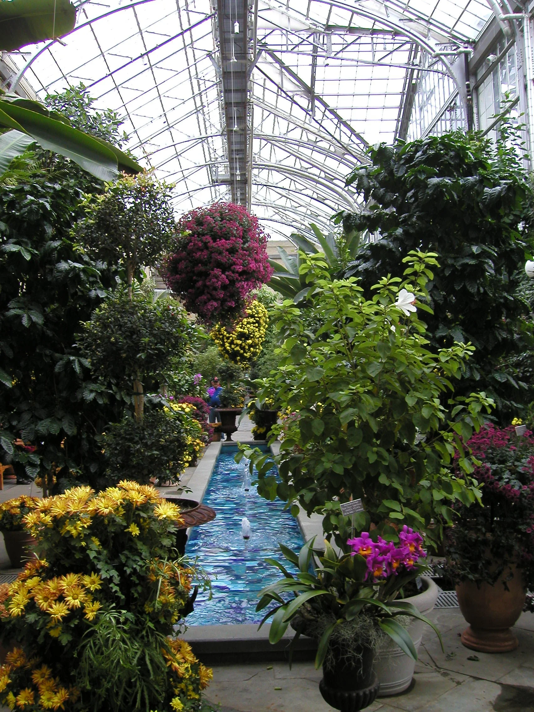 Is Jesus Sufficient? (unabridged)