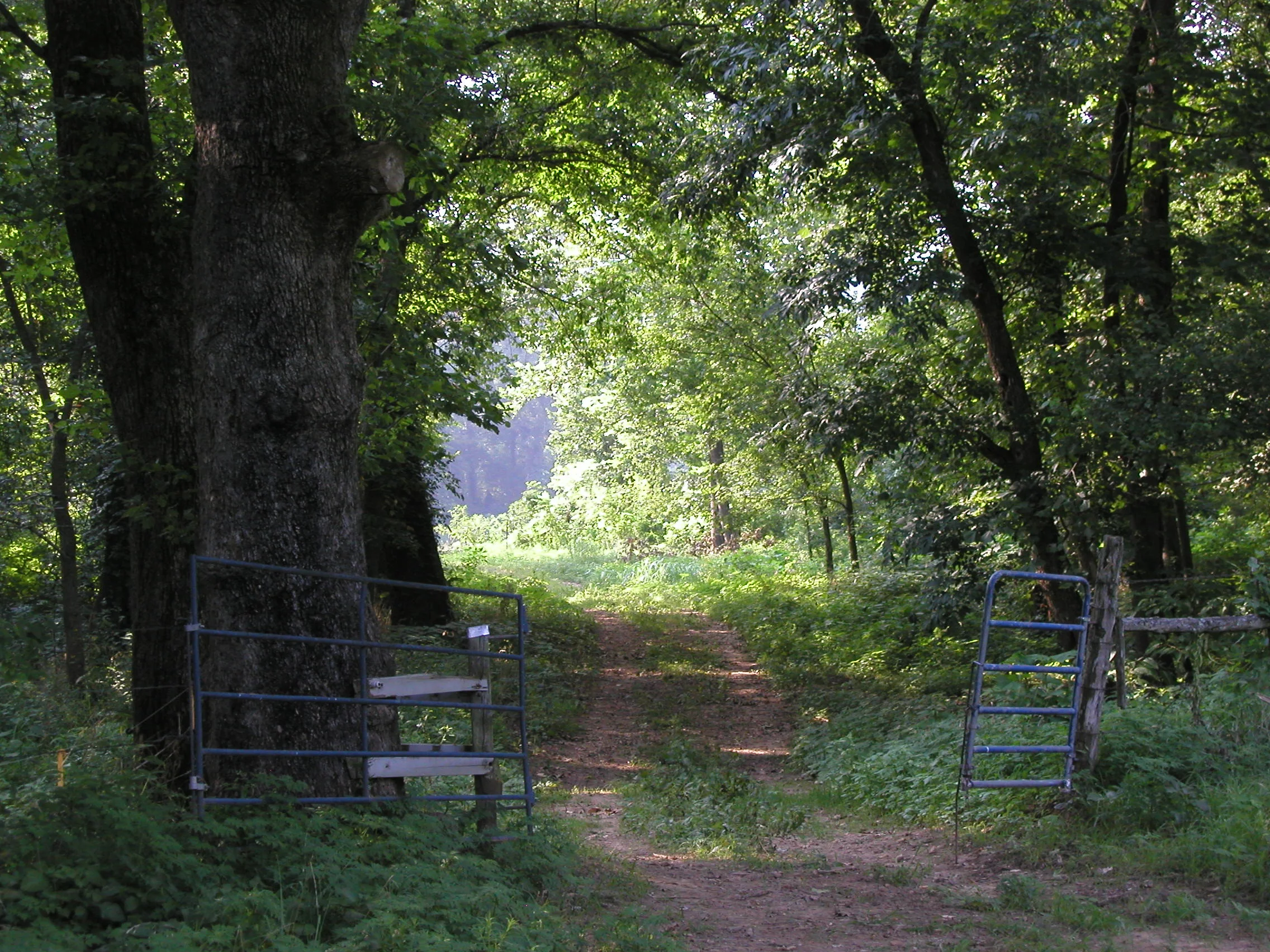 Why Pray? (part 3 of 3)