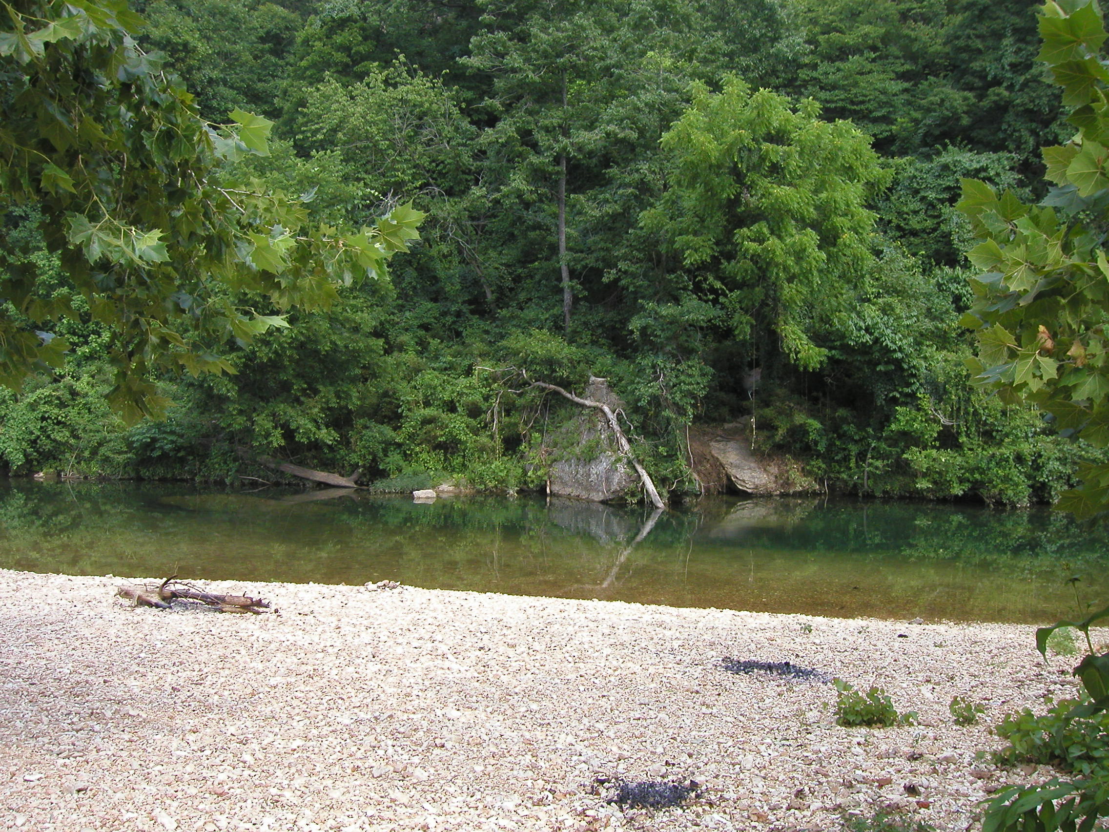 Bear Creek by Gillham