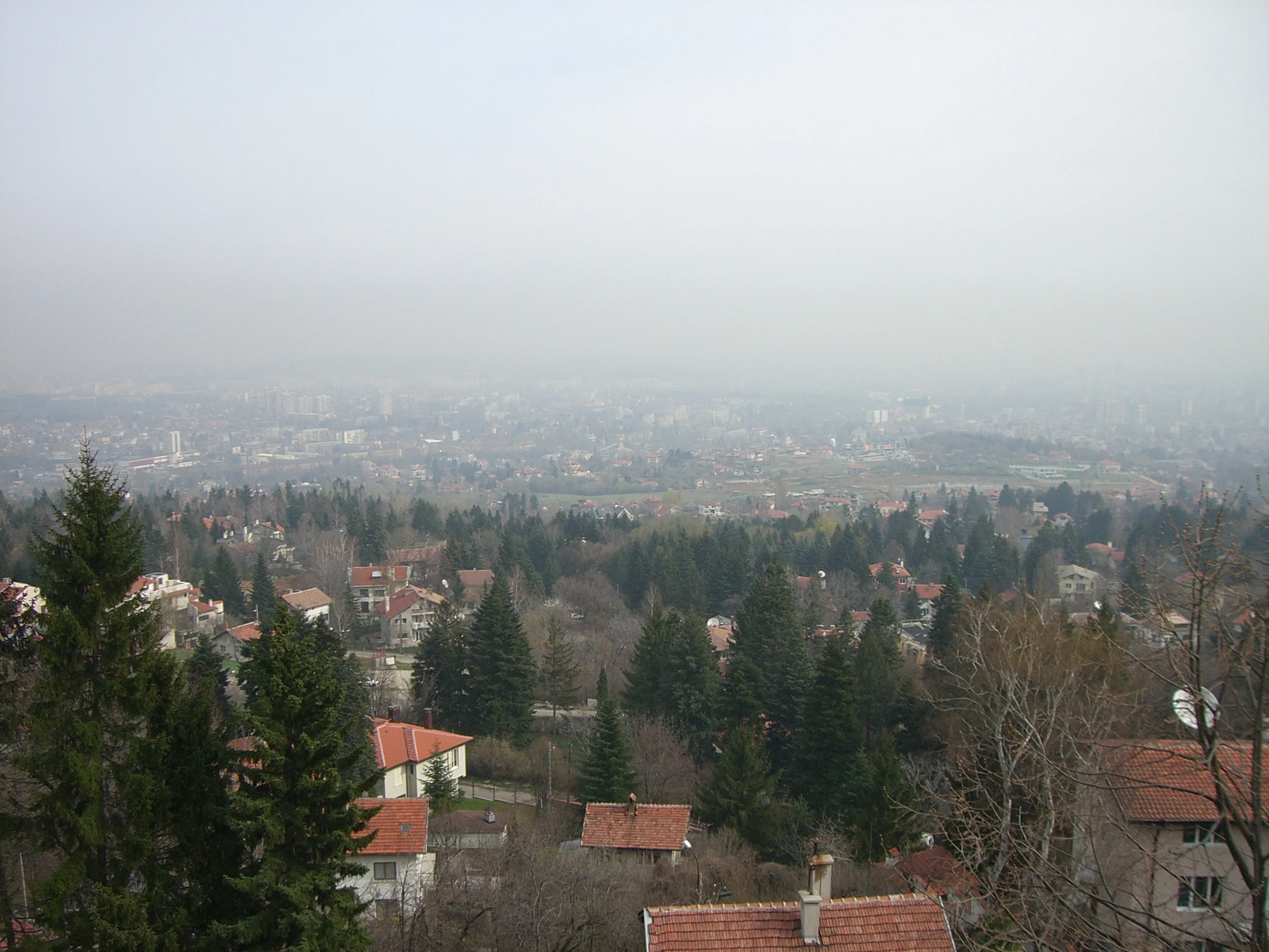 Thankful (part 1 of 2)