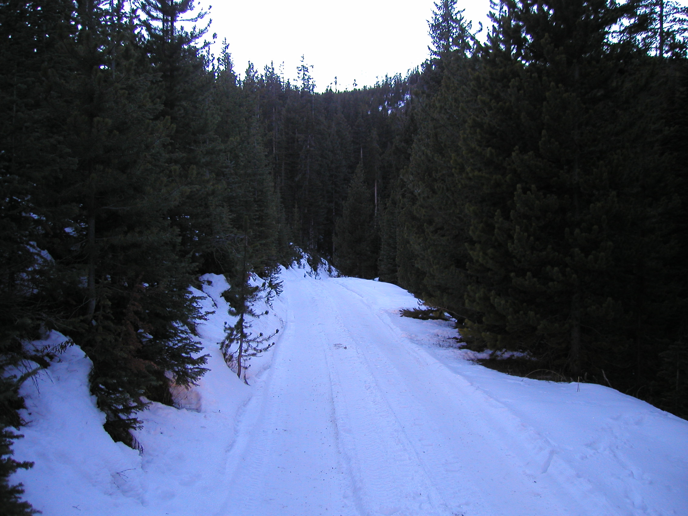 Near Bozeman by Gillham