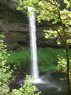 Oregon by Gillham