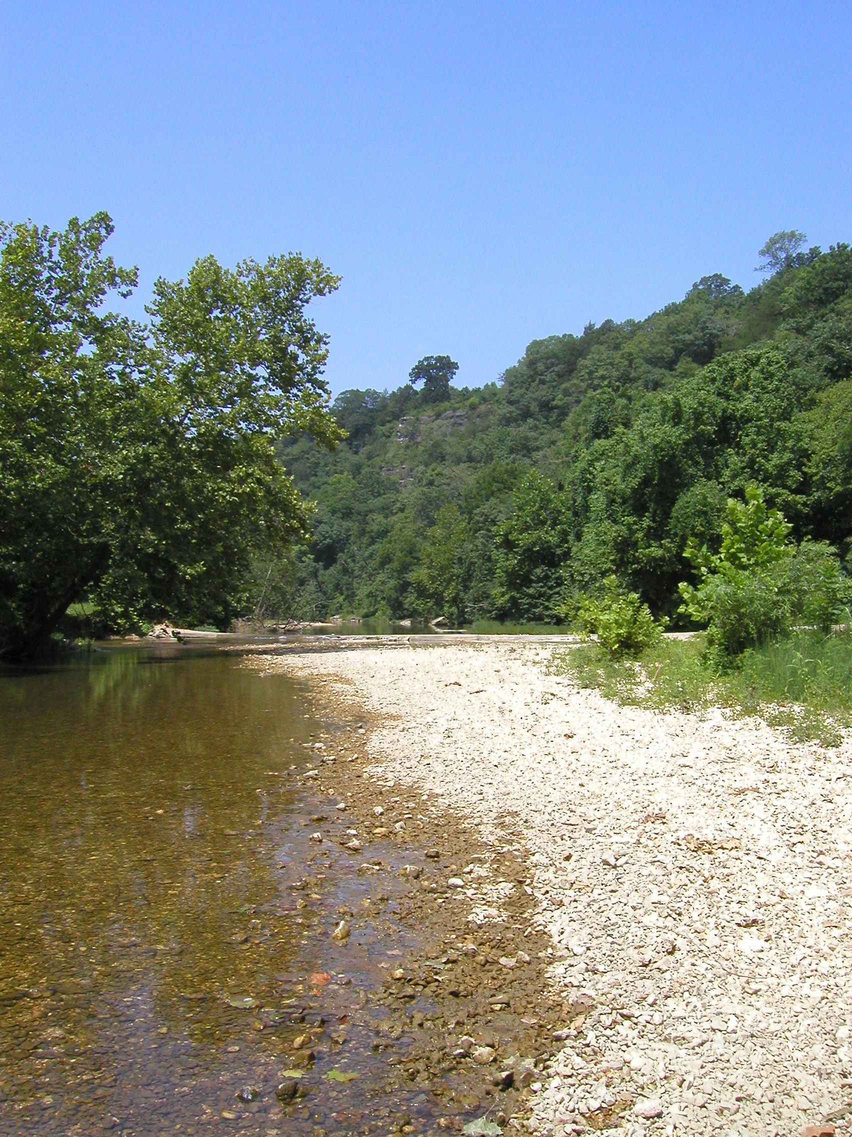 Bear Creek by Gillham