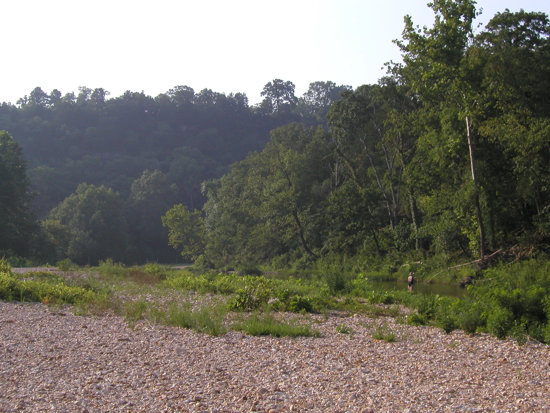 Fishing Bear Creek by Gillham