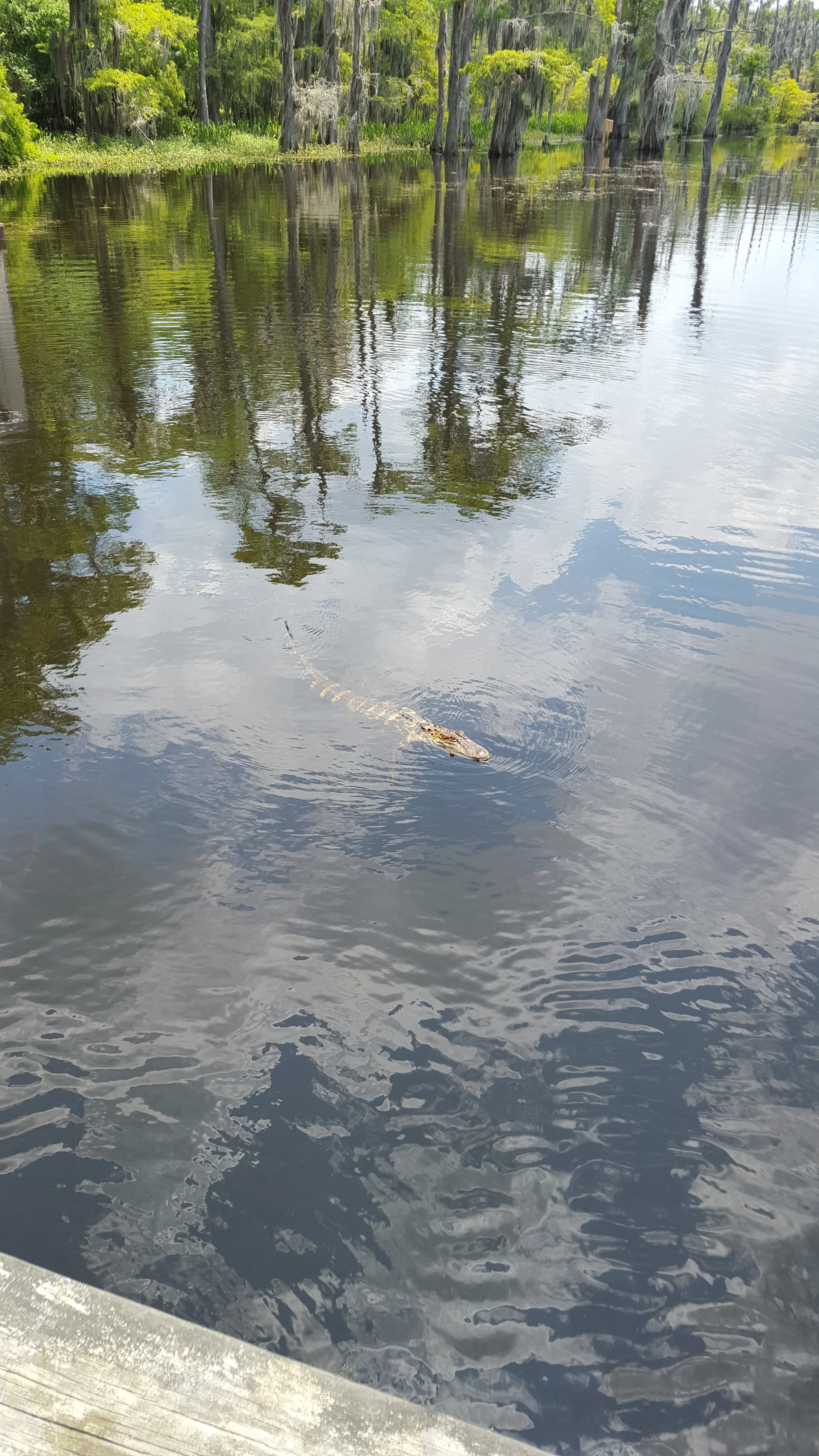 Self-Determination (1 of 2)