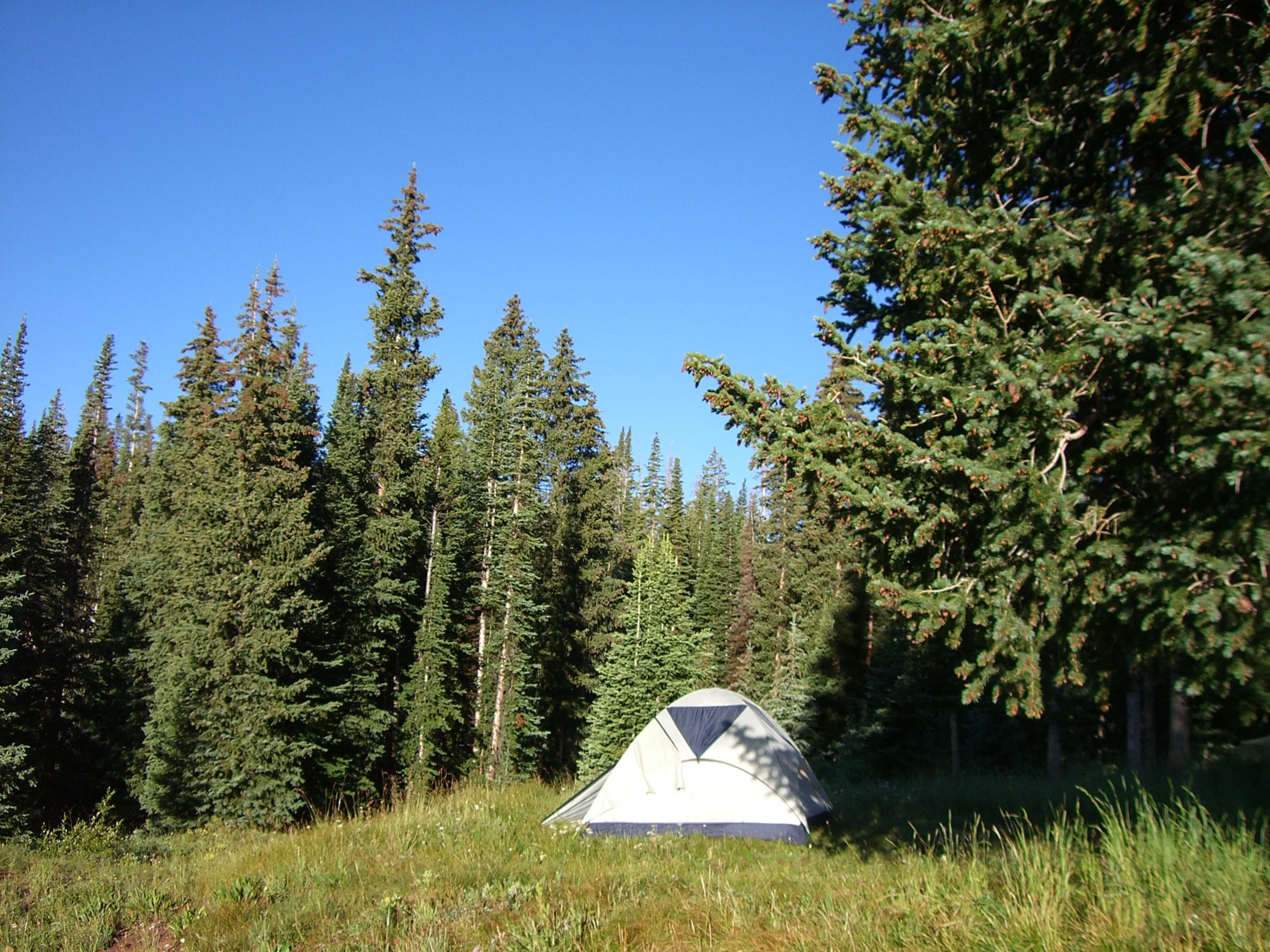 Camping above Aspen in a tent that didn't work...
