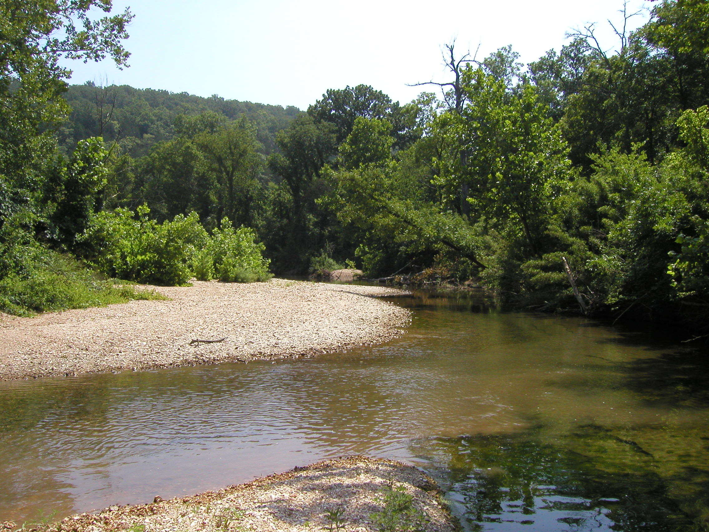 How would you fish this section of Malden Creek? And is that snake on the rocks over there?...