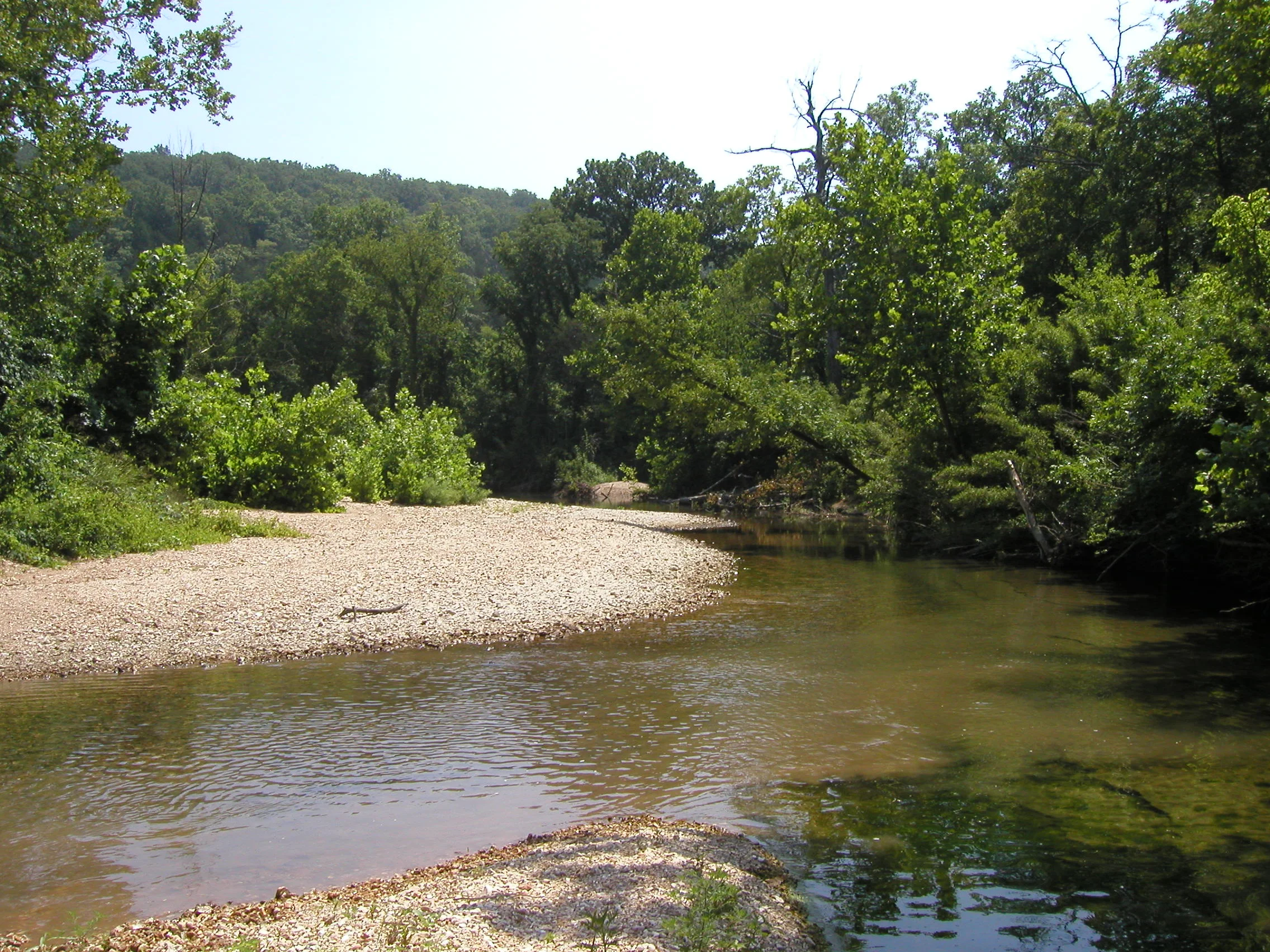 Purpose: Living with Distinction